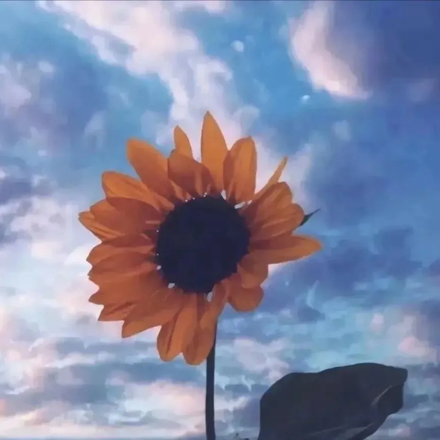 生命