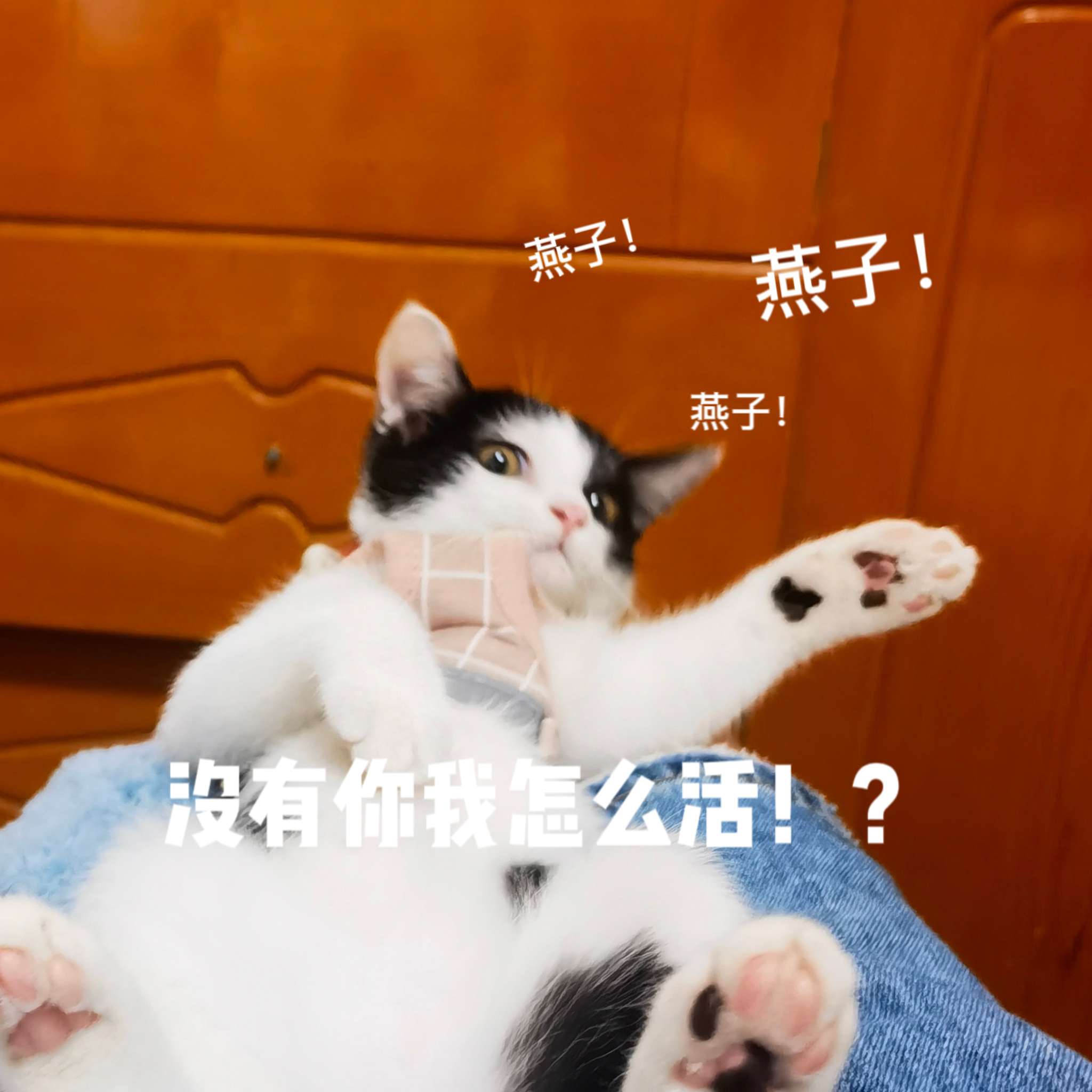 没有逻辑但很有理