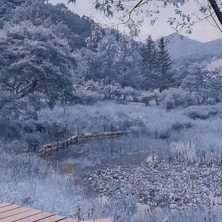 雾