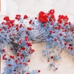 那些极隐晦的半句情话