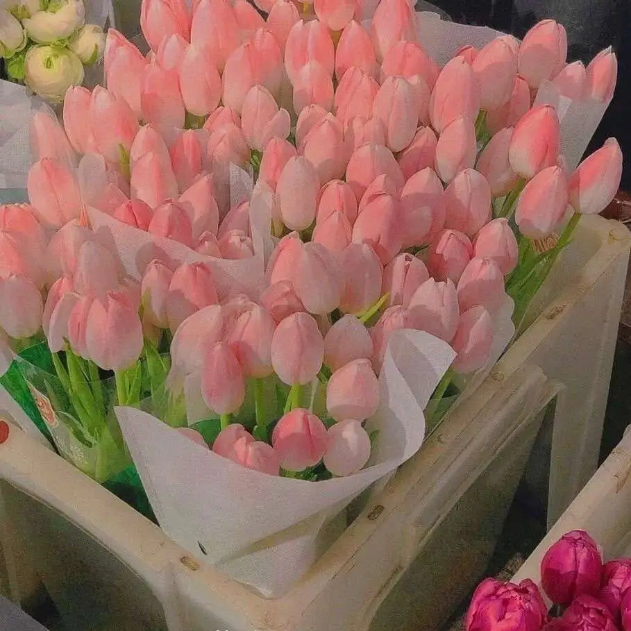 一束鲜花