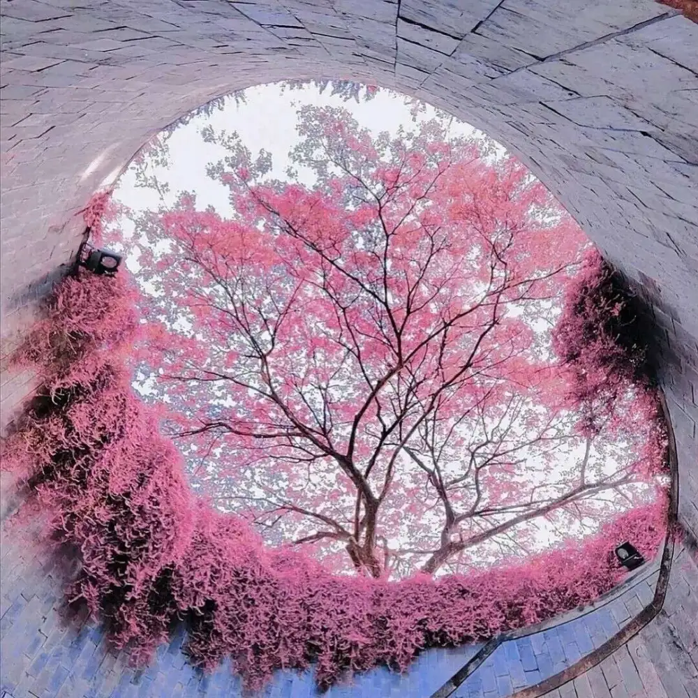 一眼让你触动