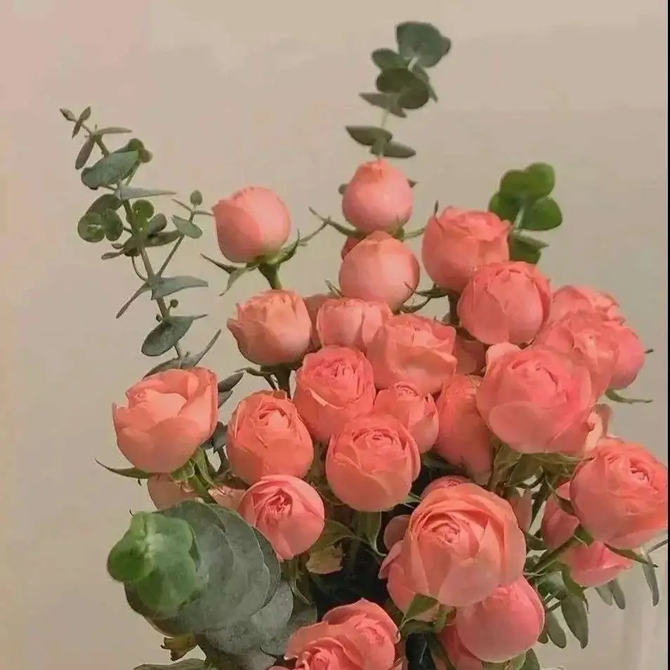 励志