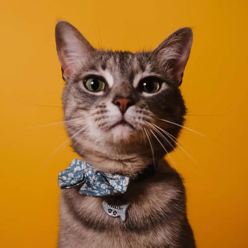 眼前一亮，试着改变。