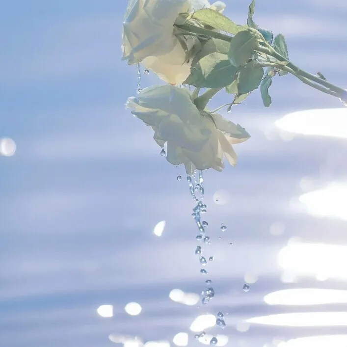 ♈️生来爱内卷