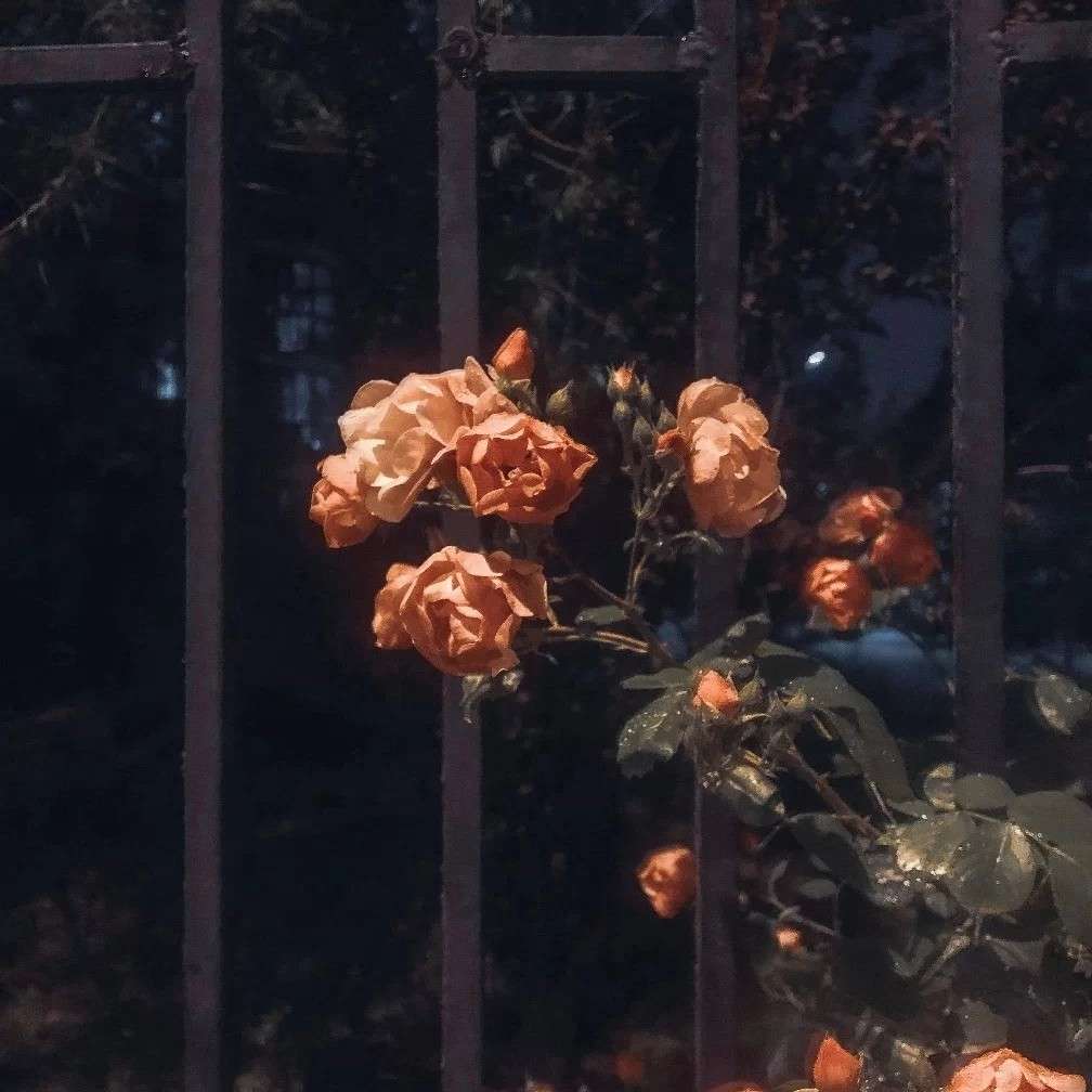 众人皆骂我，唯你在帮我辩解