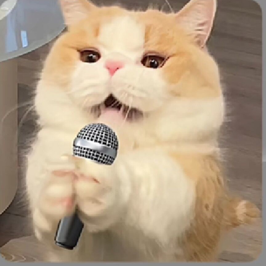 爱需要双向奔赴，如果你一个人真的会累！但爱有结果的话，我不嫌累！