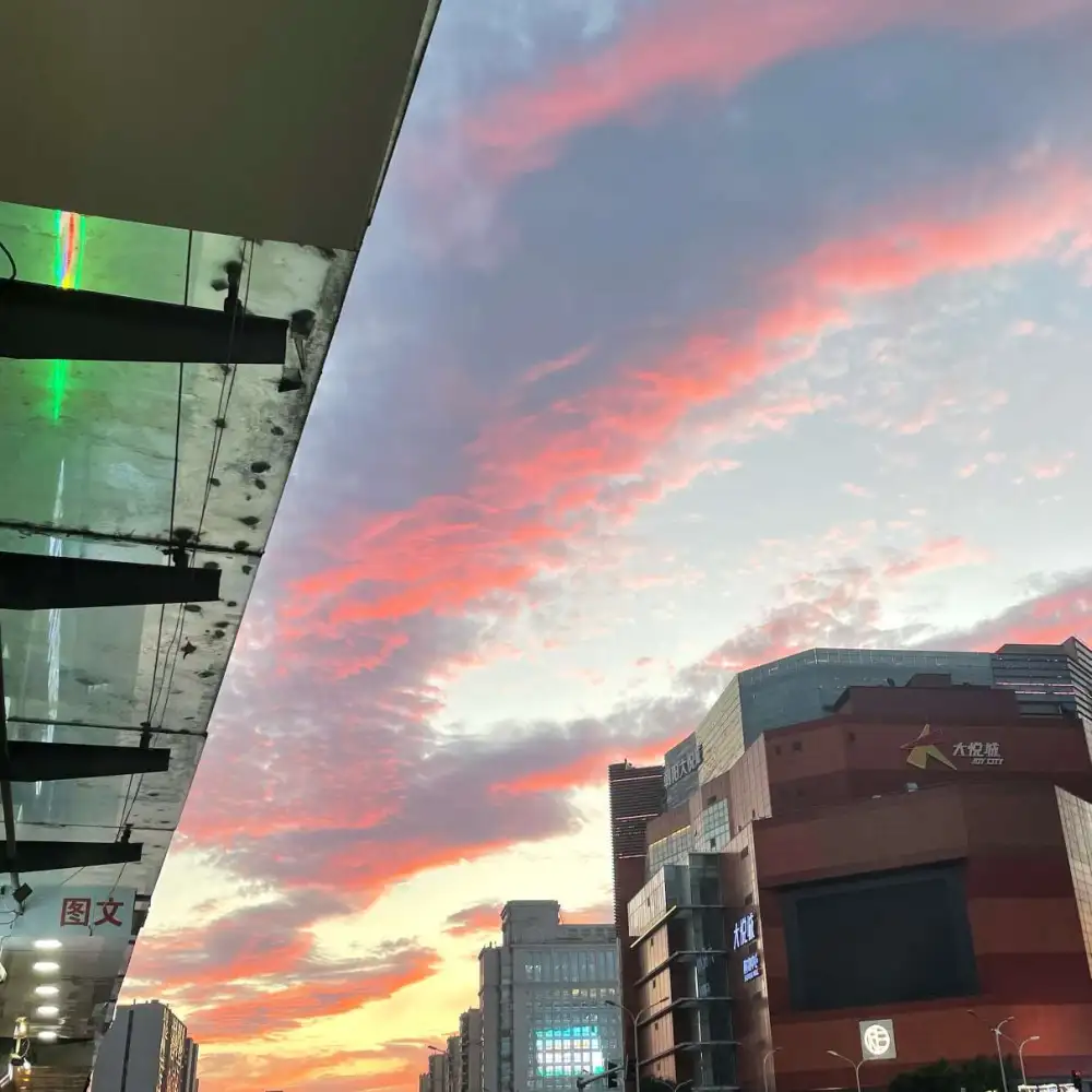 被哥哥的美颜击溃的专辑