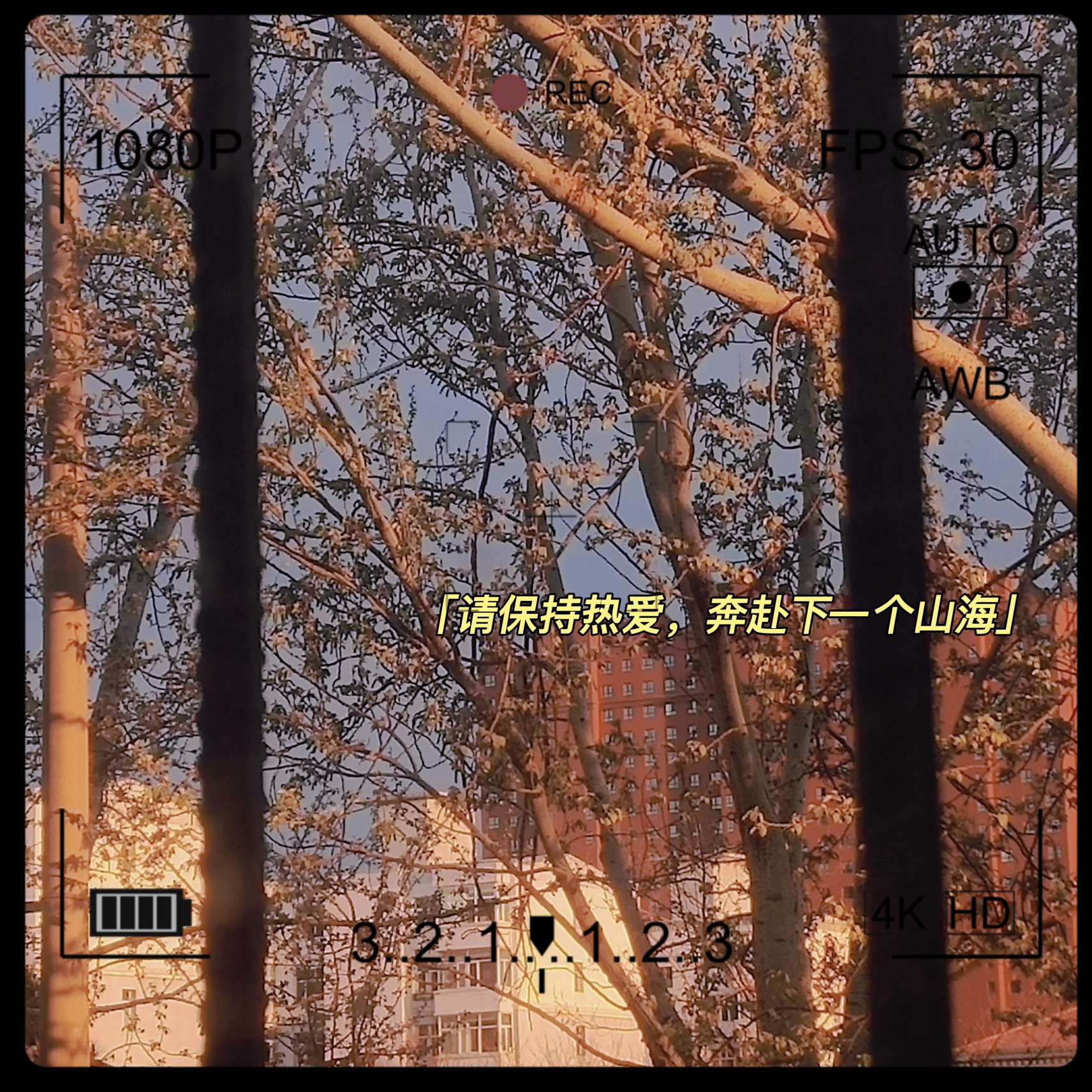 星河踏月来的专辑