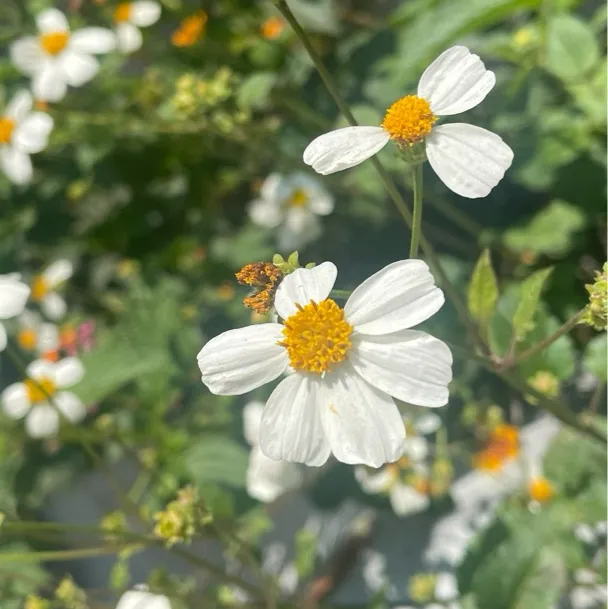 深有同感