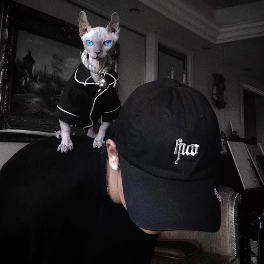 Mᴇᴇᴛ꯭ ꯭ ꯭ ꯭ ꯭ ꯭ ꯭ ꯭的专辑