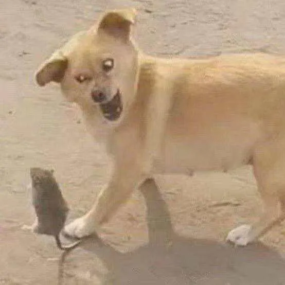 欠抽语录