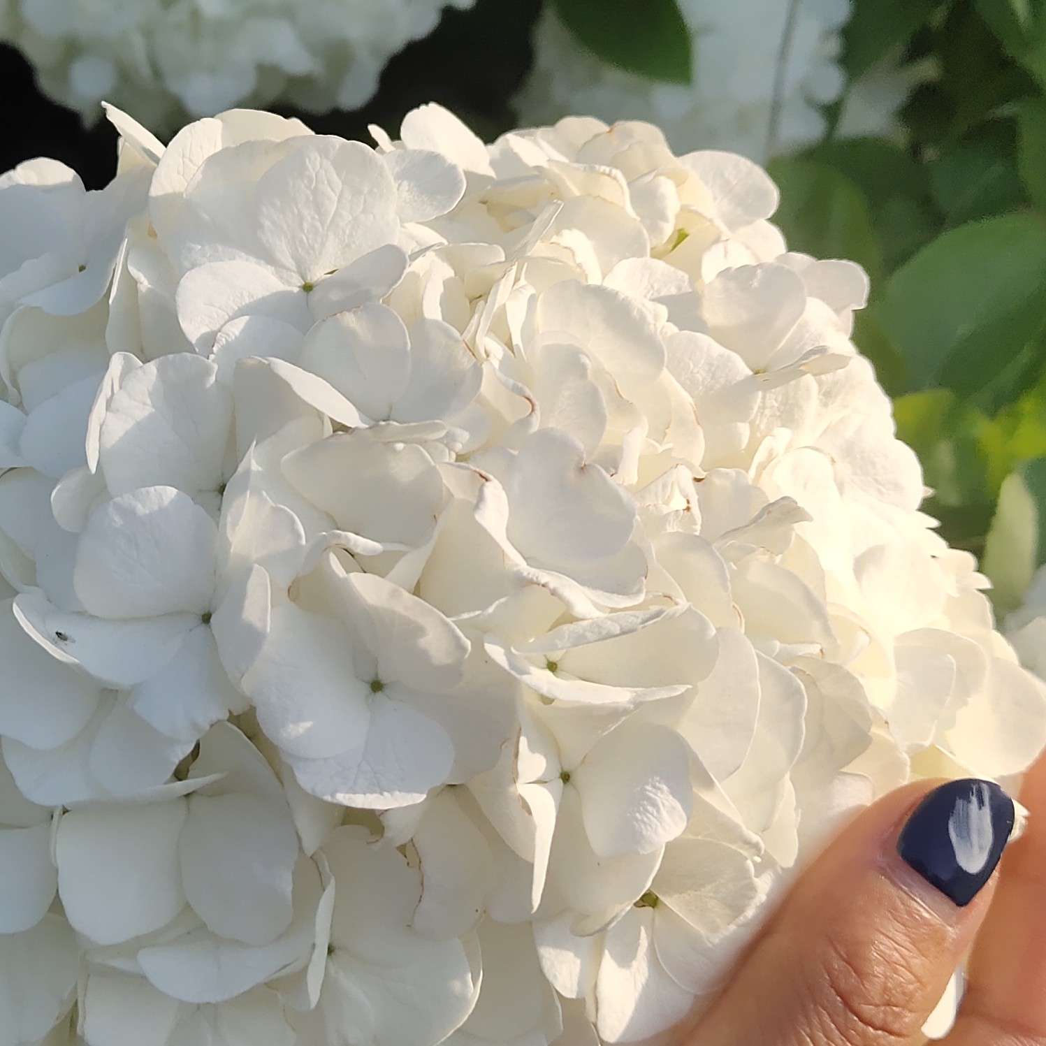 精品好句每天一句