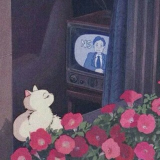 花花华晨宇我最爱的明星