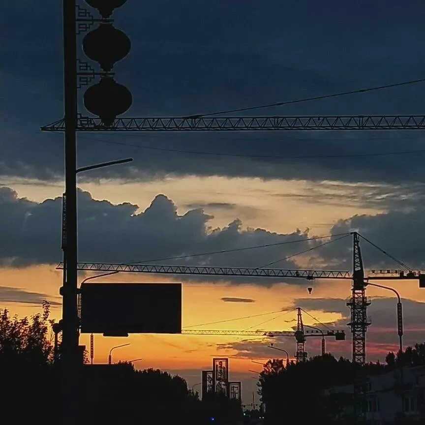 《疯人院罗曼蒂克》