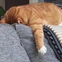 有那些句子或歌词有你亲身体会的。