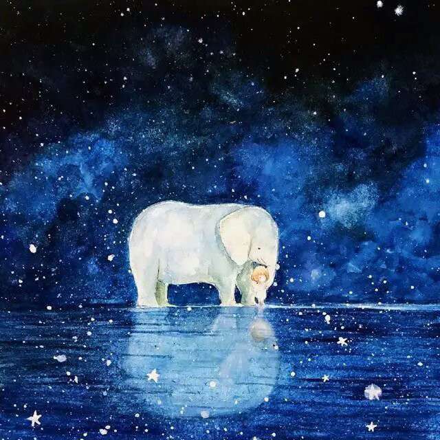 星河遇清梦的专辑