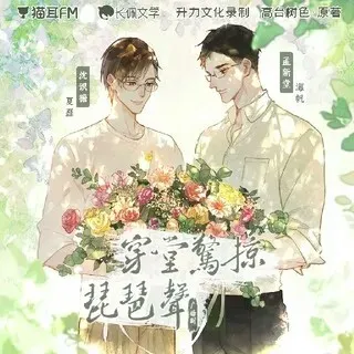 穿堂惊掠琵琶声