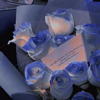 ₍ᐢ •͈ ༝ •͈ ᐢ₎♡