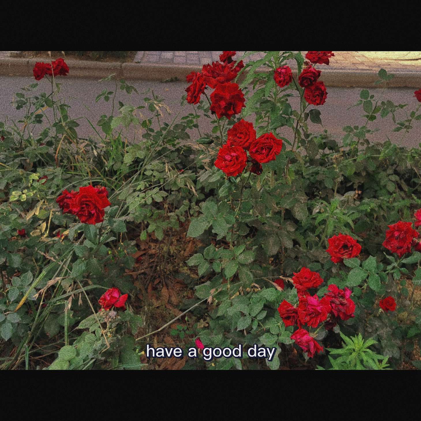 郭鑫茹的生日礼物