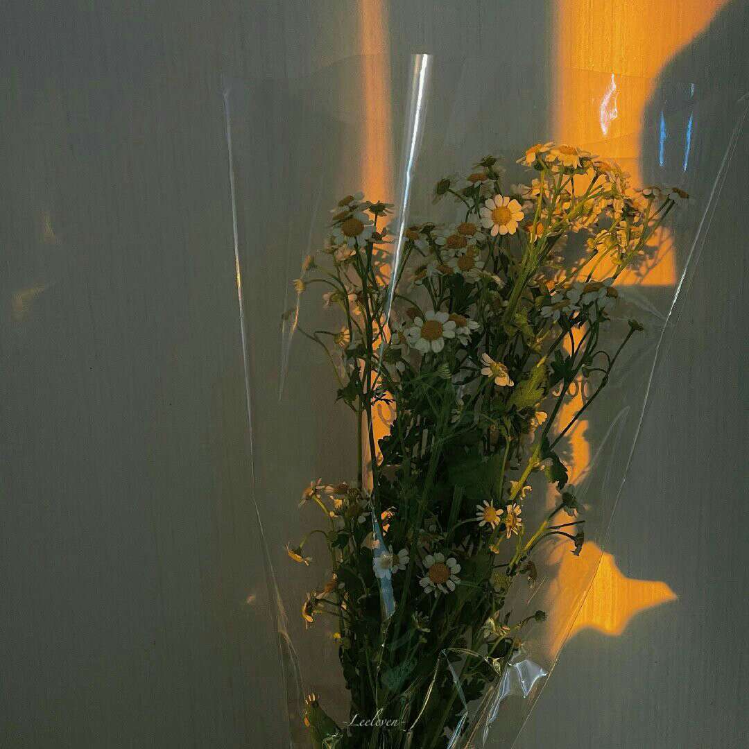 杂七杂八的文案