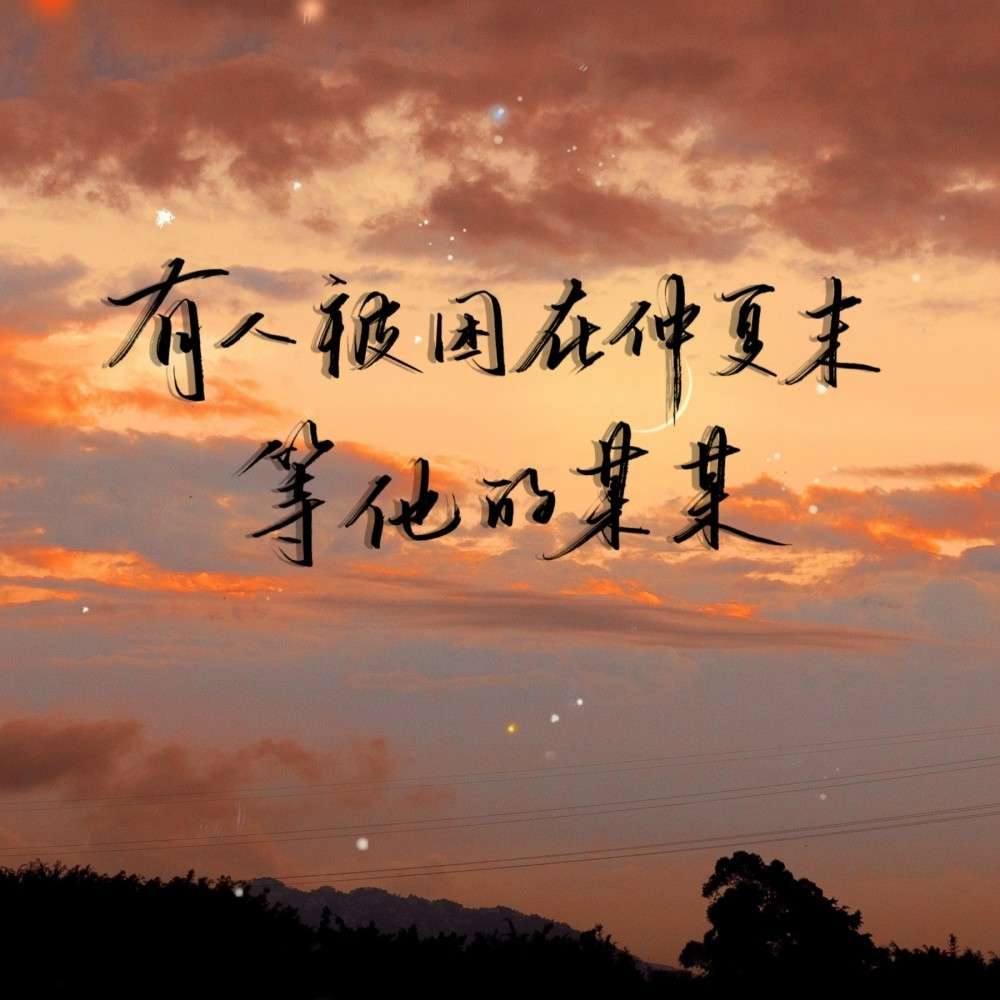 微信用户DSBW的专辑