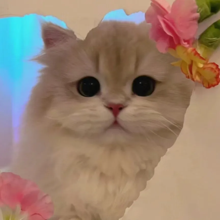 虽然我一无所有，但我把我最重要的东西给了他