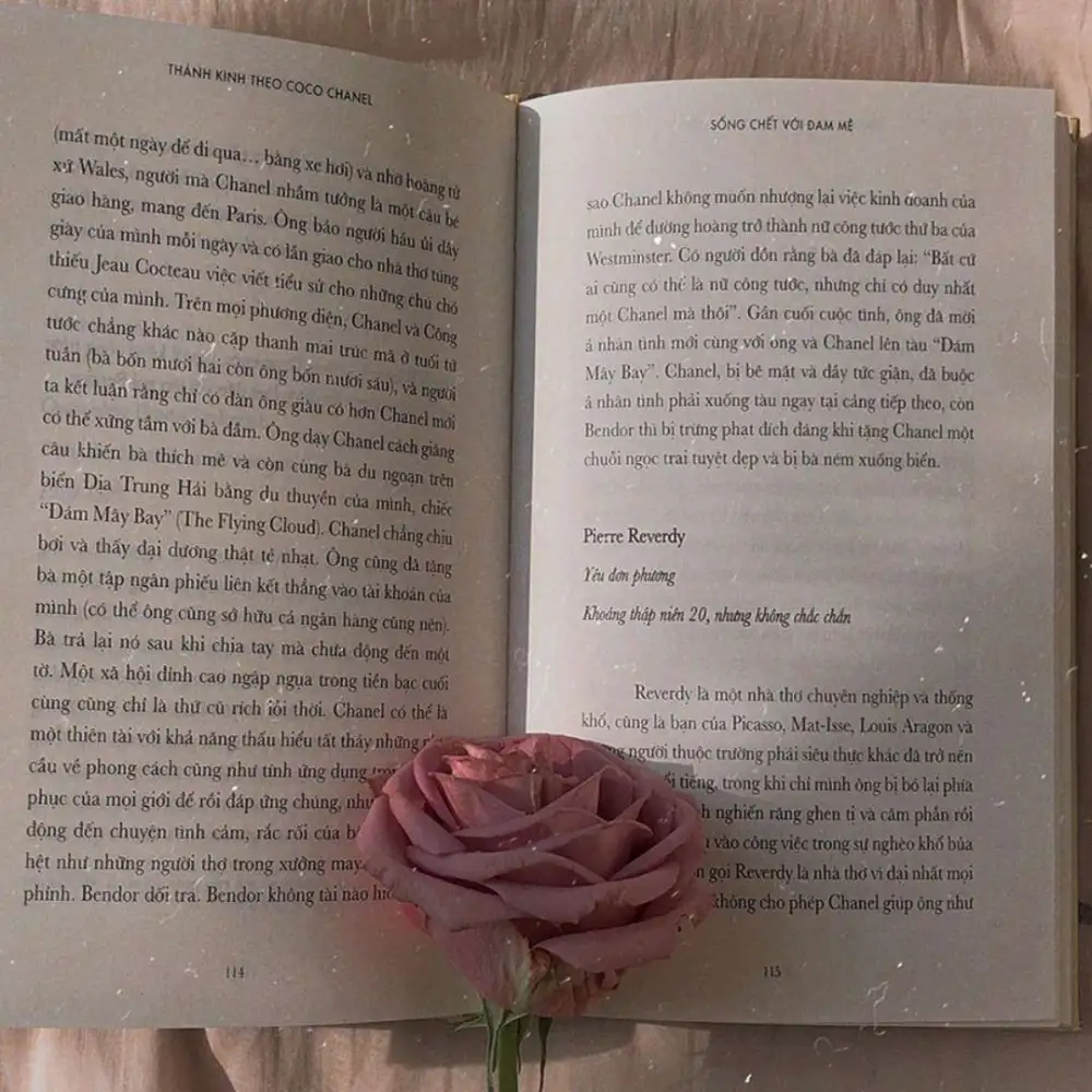 海棠花开，曲终人散