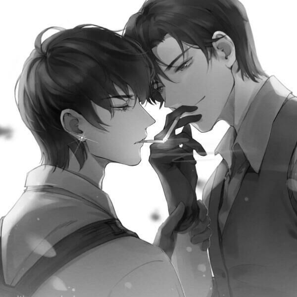 世间的所有美好