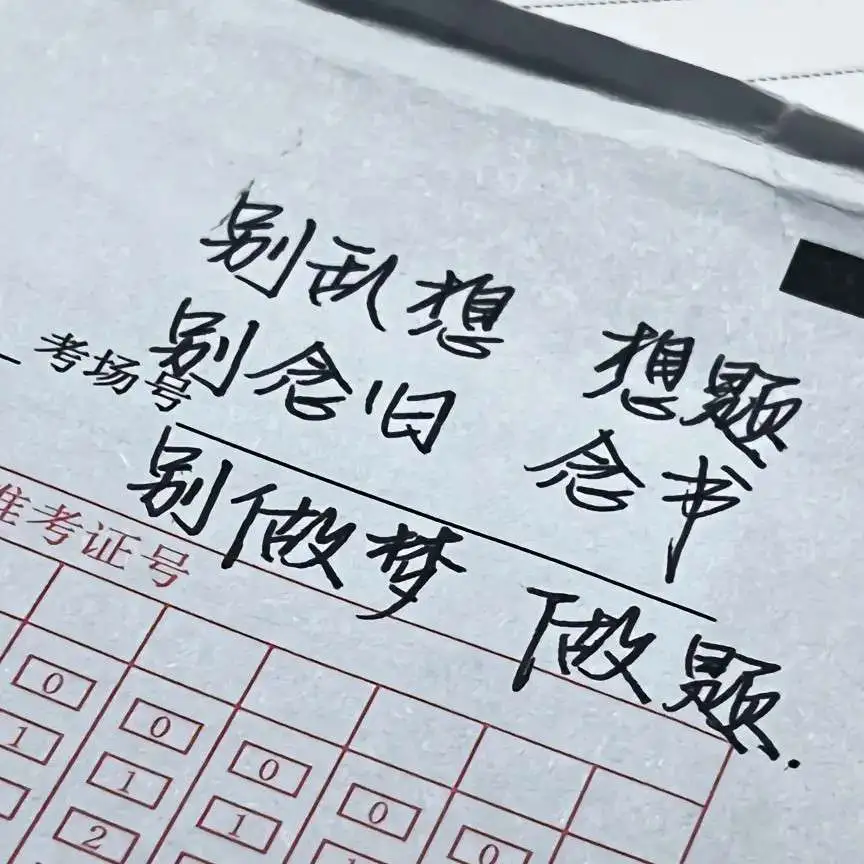 摆烂