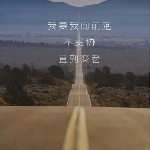 精神独立追寻实践
