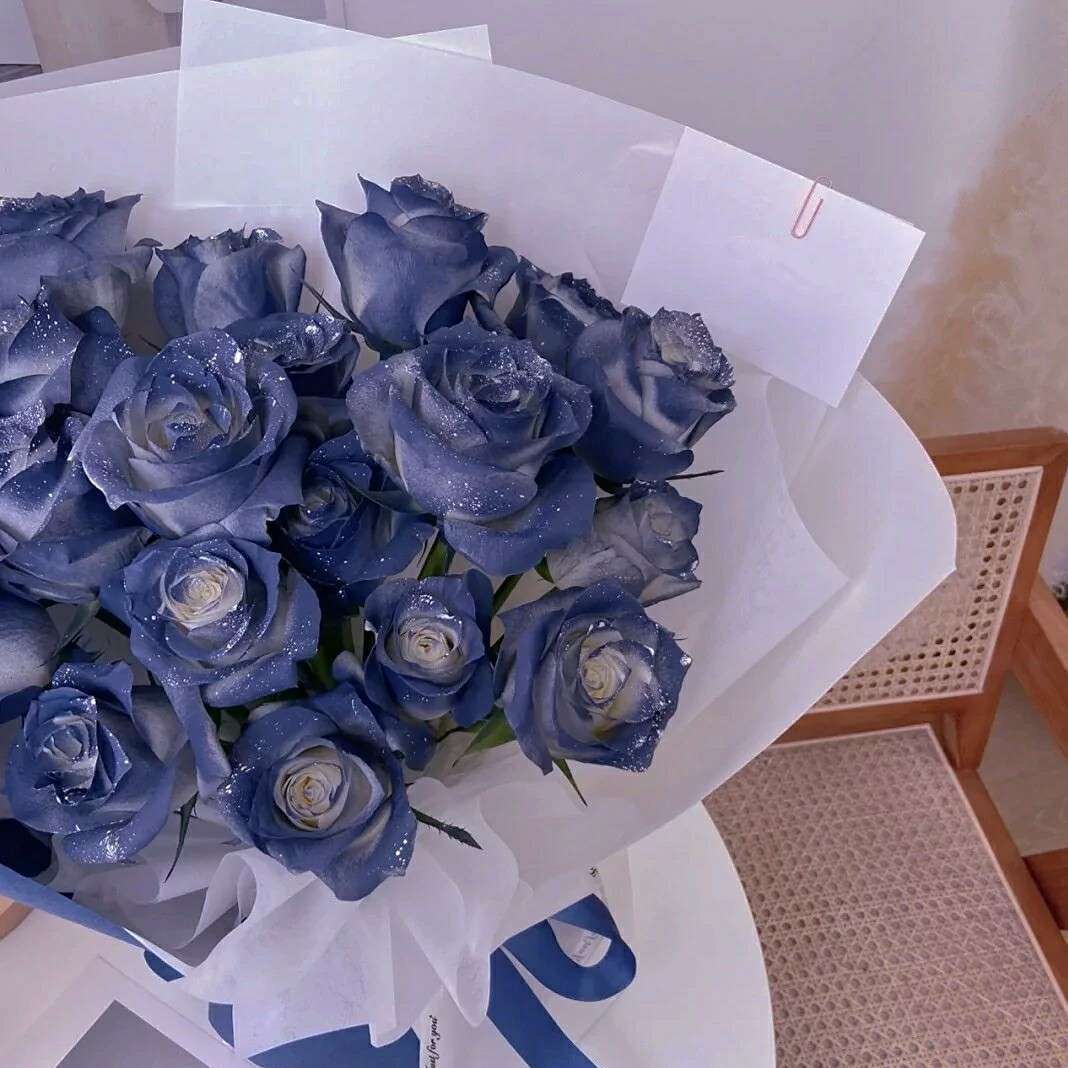 罗密欧与猪过夜୧⍤⃝