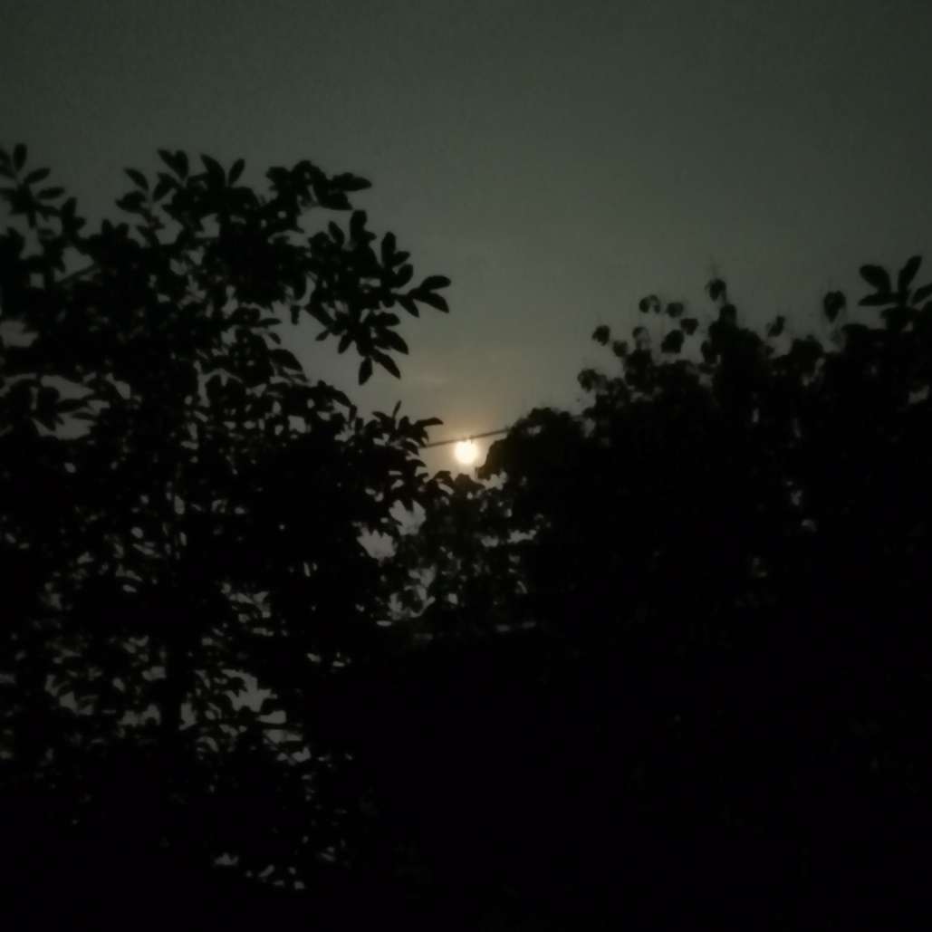 敬 我朦胧的青春 自导自演的暗恋