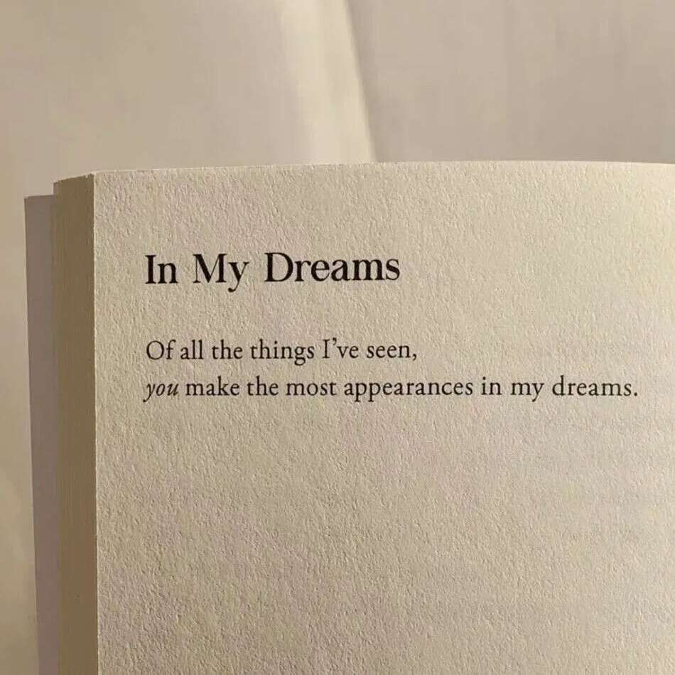 方寸之间的广阔的专辑