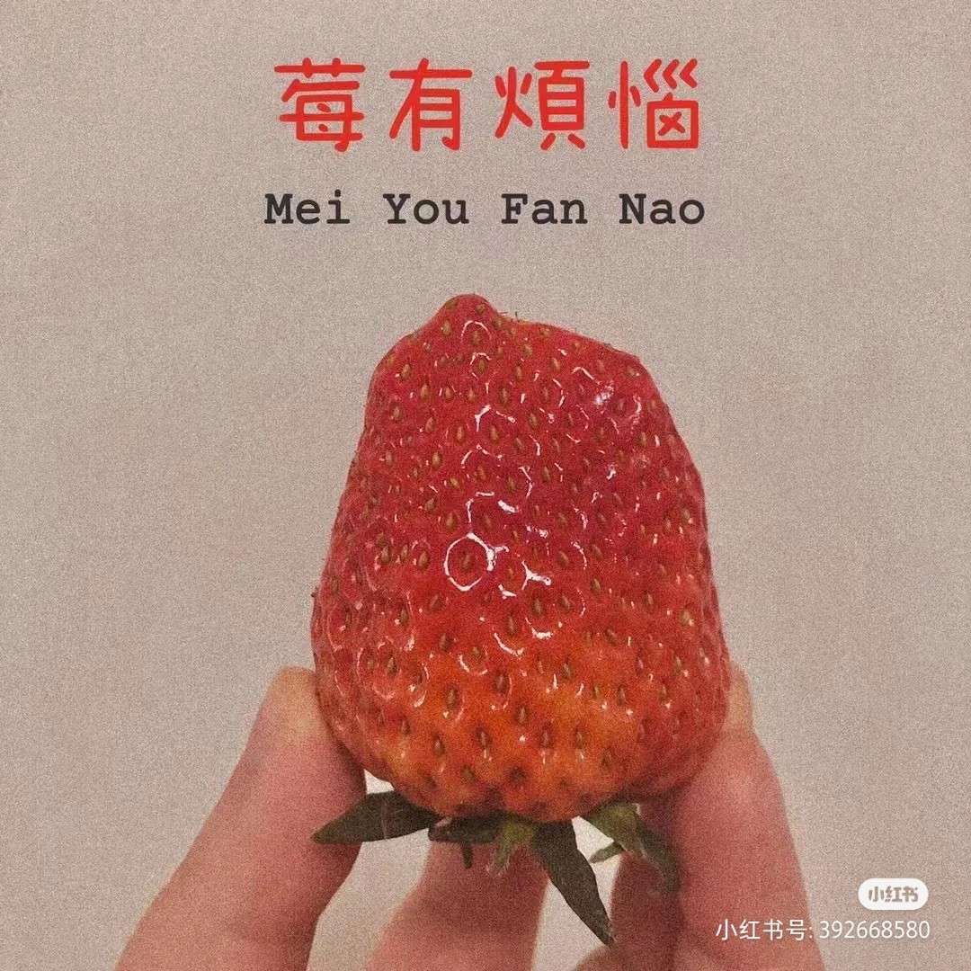 生活是一个动词