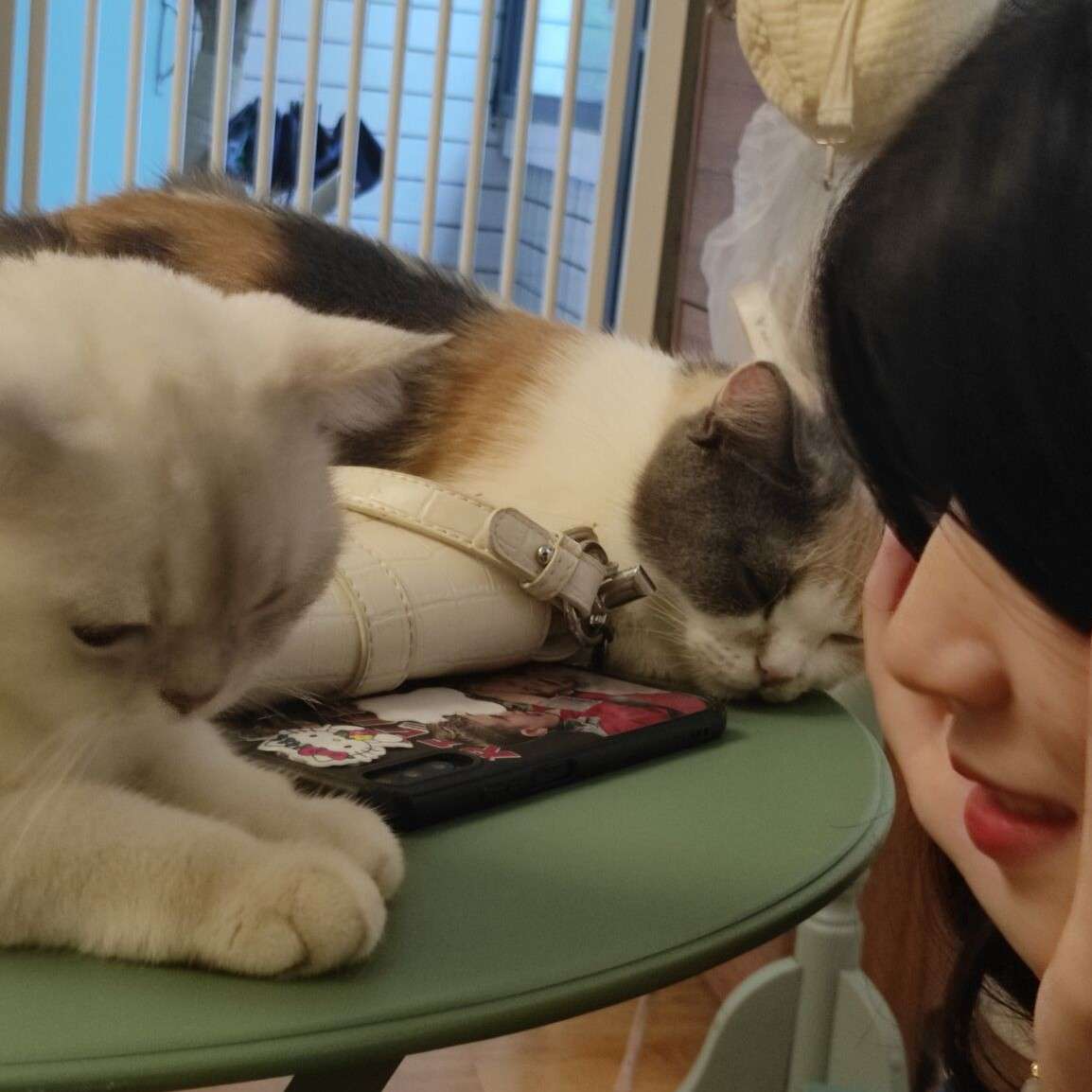 我就是这样想的