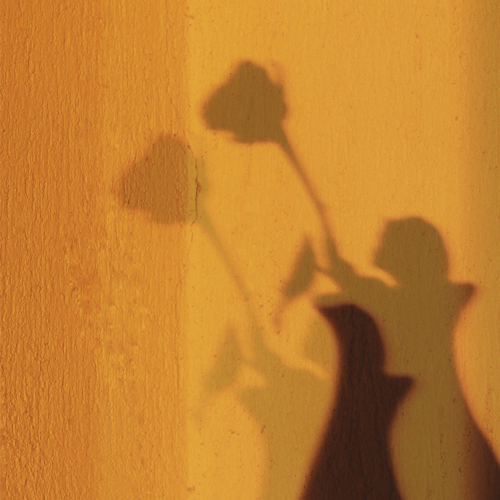 各式各样的句子