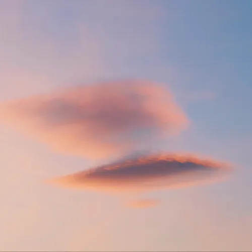 作文素材