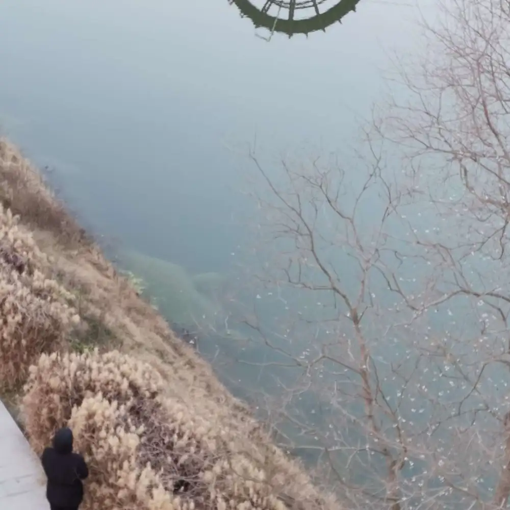 古风圈