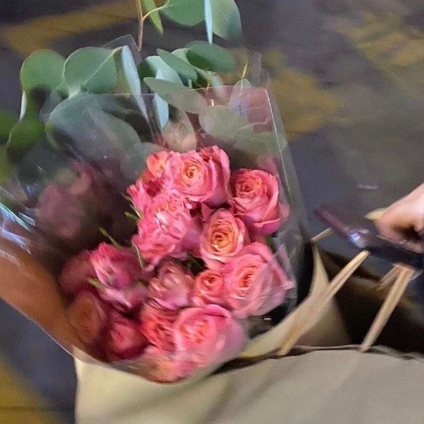 图片是花的专辑。