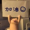 未来可期  以梦为马 不负韶华 加油！！！