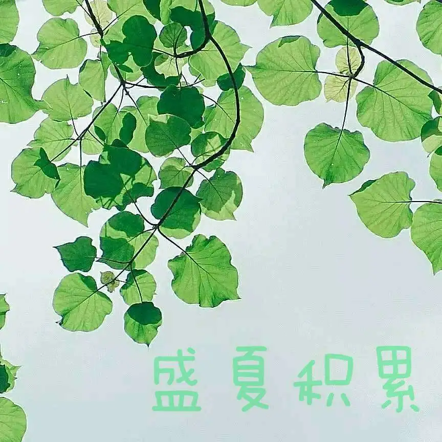 积累