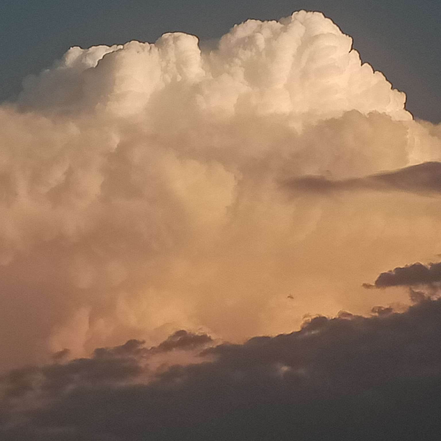 以梦为马，不负韶华。