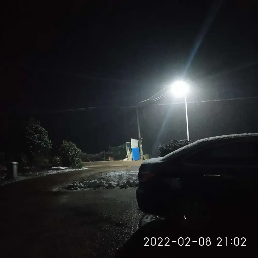 作文佳句我的喜欢