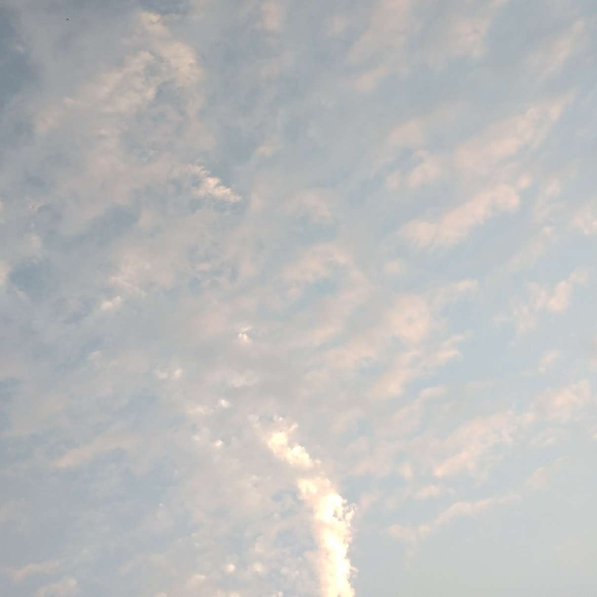 我的孤独是一座花园