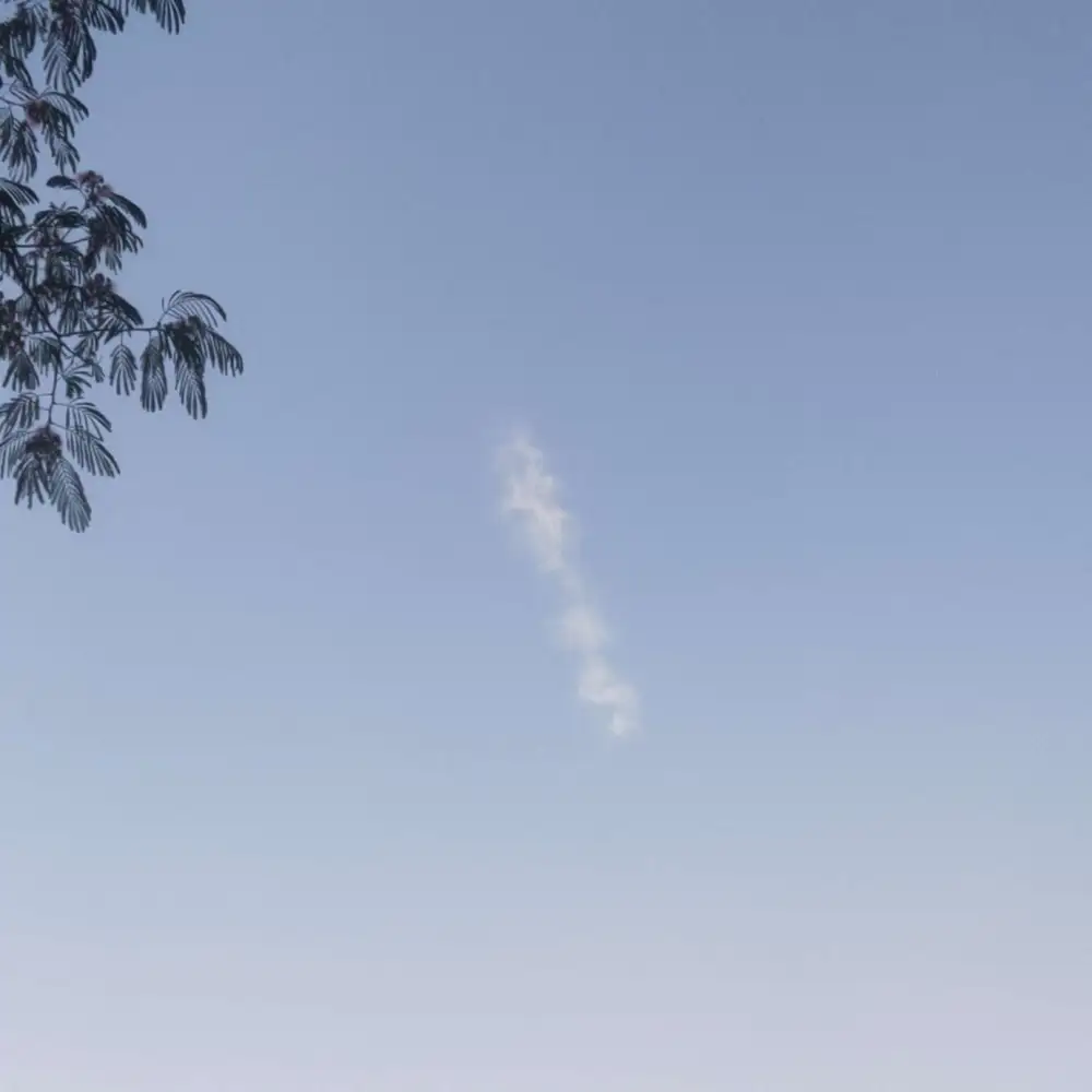 爱情