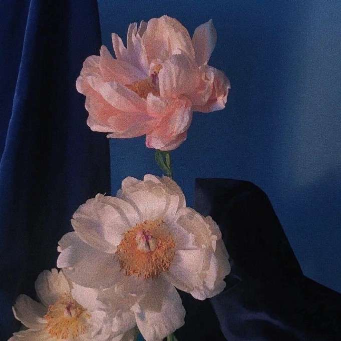 低头是人间的专辑