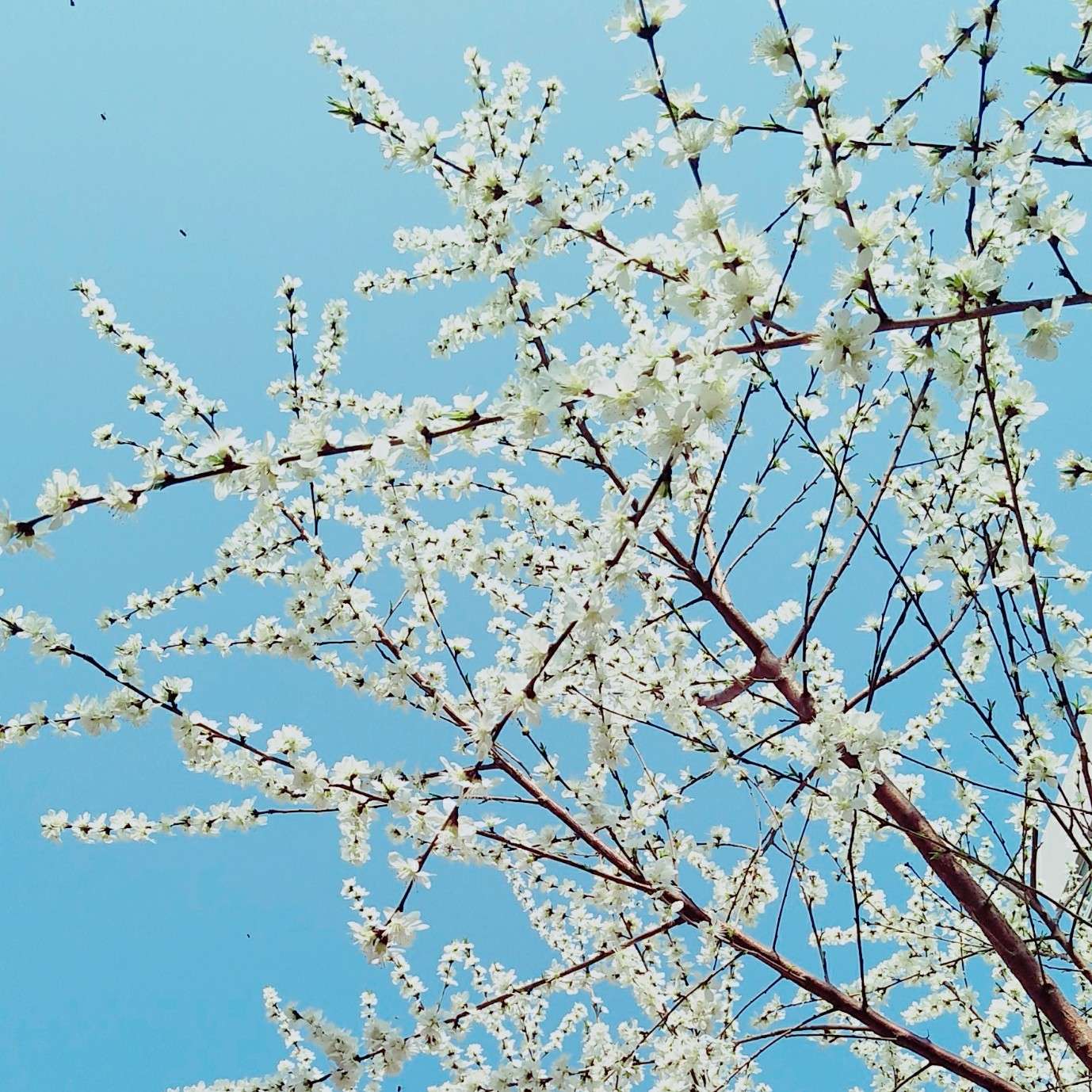 飞小千，逆大万