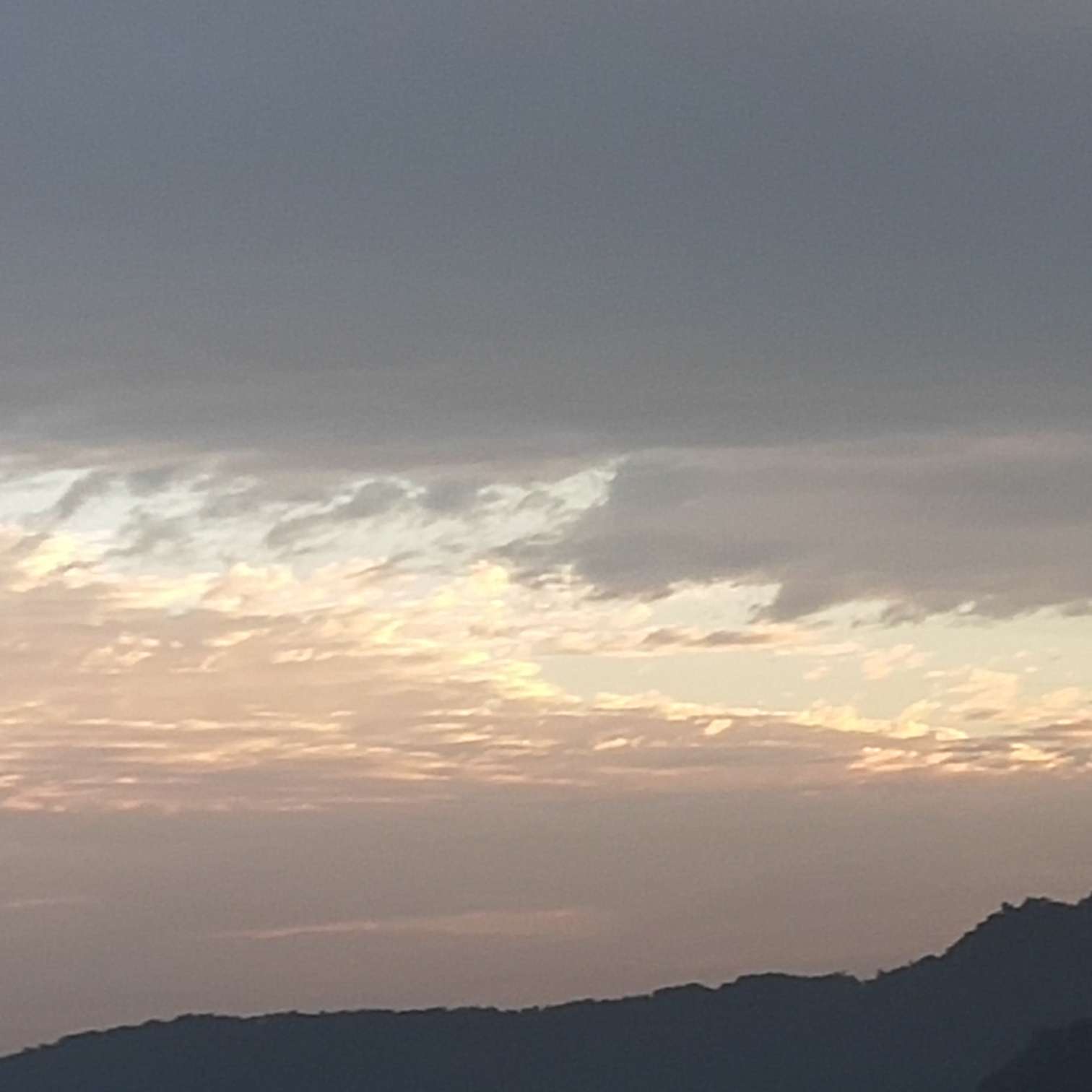 我只不过是人间过客