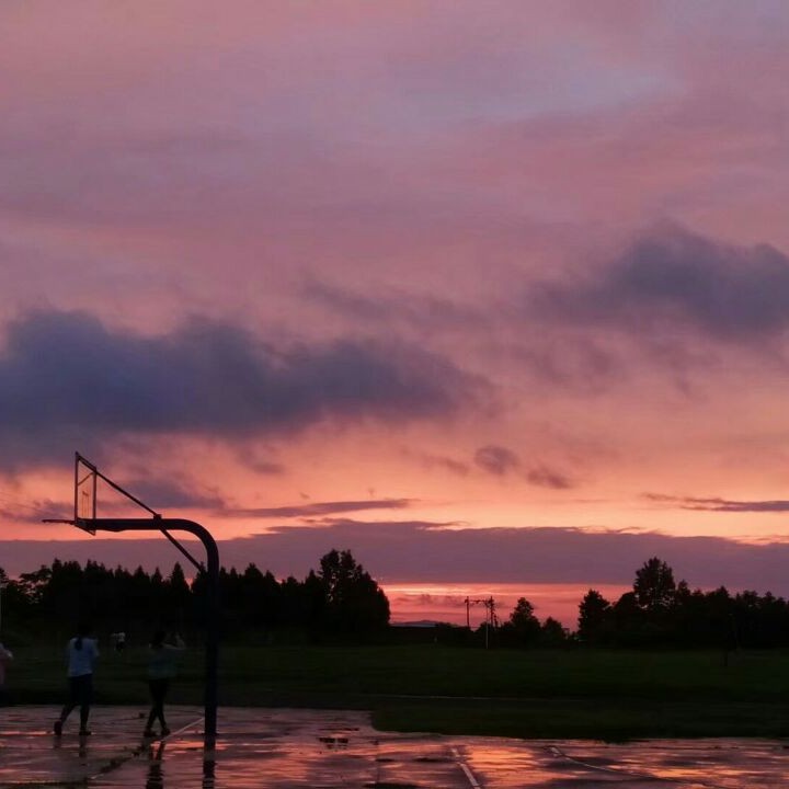 我无法得到你的爱